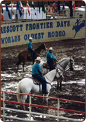 Team Penning Rodeo